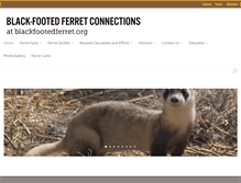 Tablet Screenshot of blackfootedferret.org